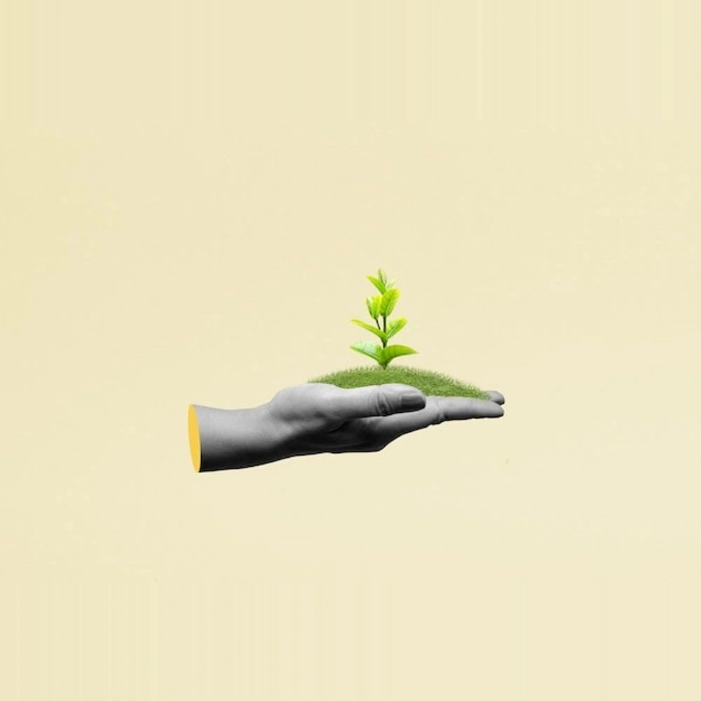Collage of an open hand holding a seedling growing out of a patch of grass